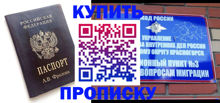 прописка поиск в Великом Устюге